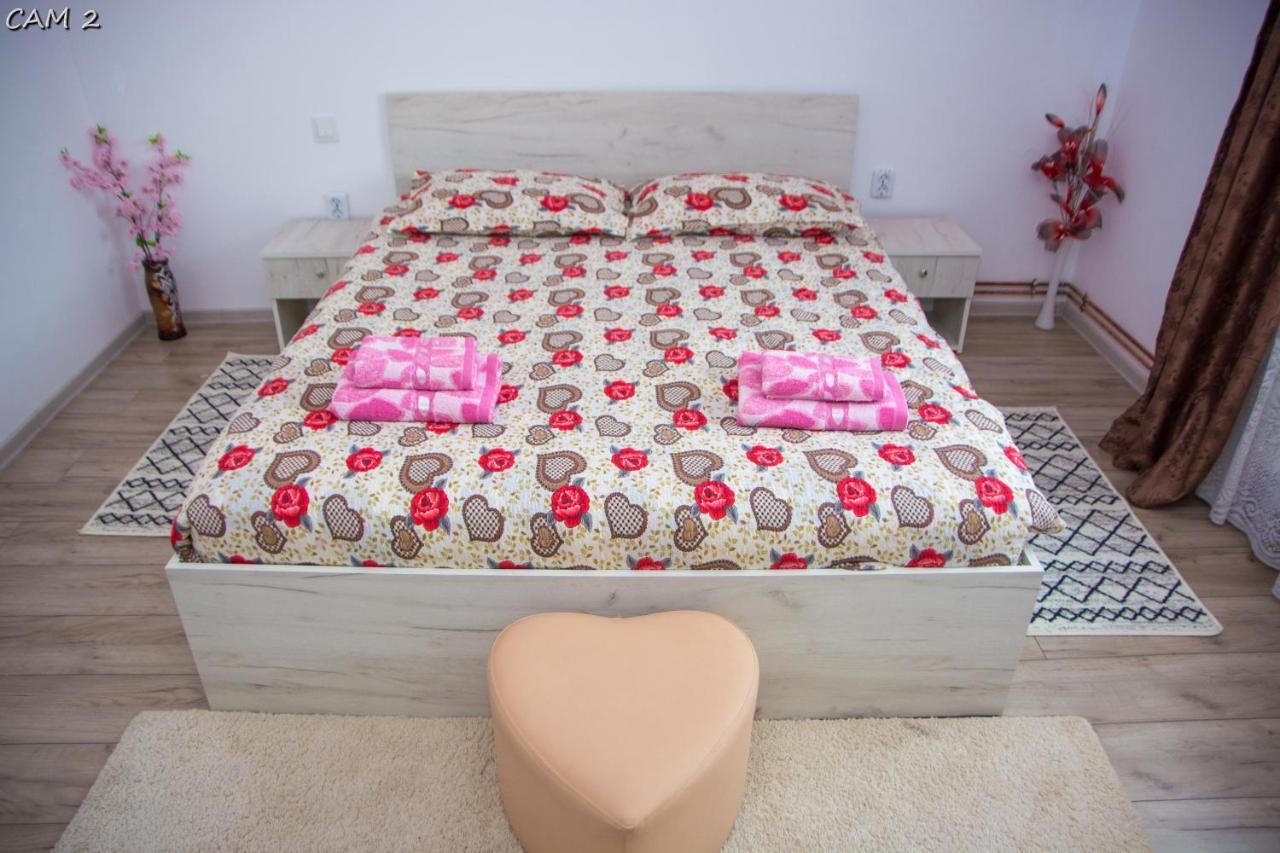 דירות Călimăneşti Casa Stefania 1 מראה חיצוני תמונה