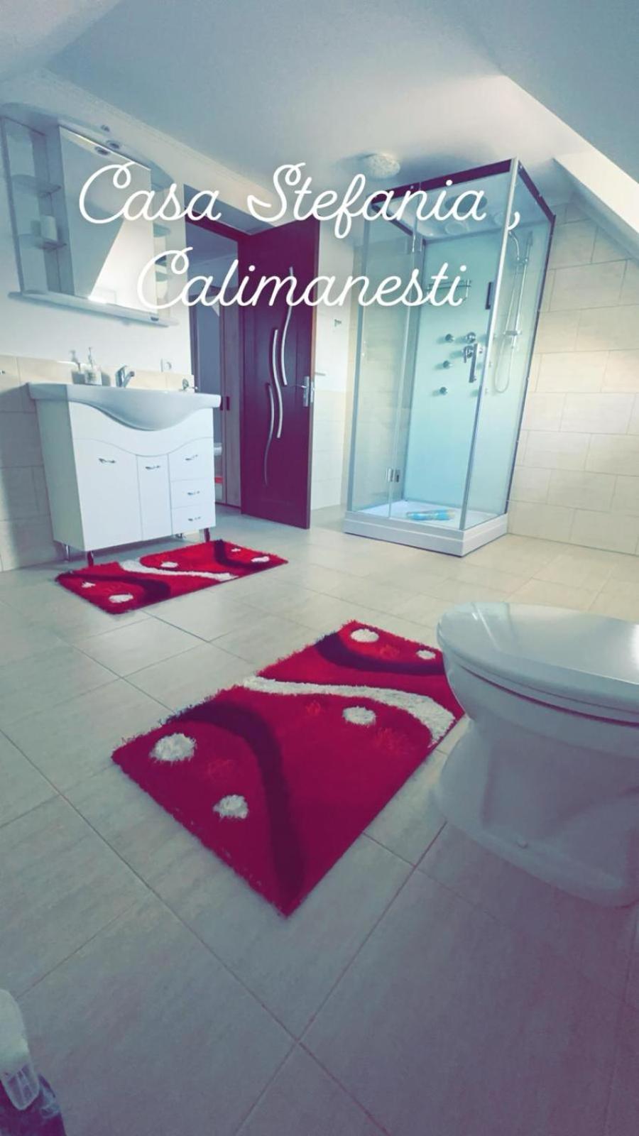 דירות Călimăneşti Casa Stefania 1 מראה חיצוני תמונה