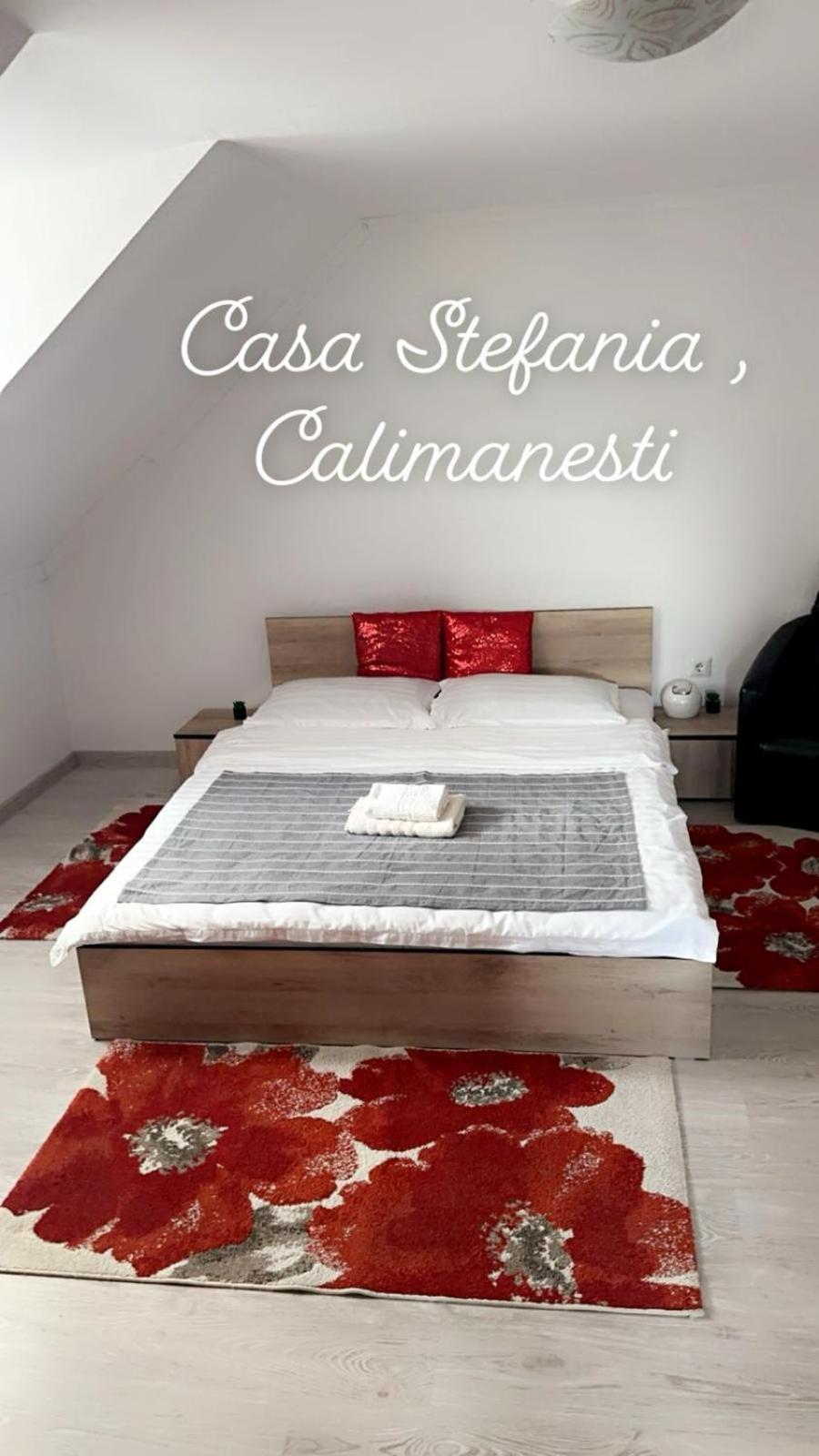 דירות Călimăneşti Casa Stefania 1 מראה חיצוני תמונה